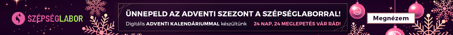 web banner asztali crazy days