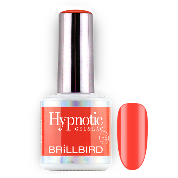 hypnotic_thf_54.jpg