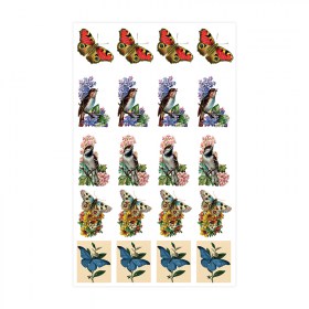 9095_birds&butterflies